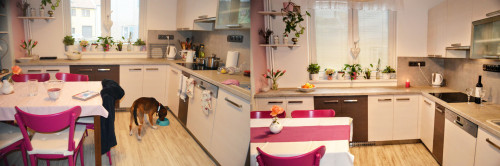 Co je to home staging?