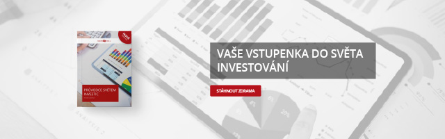 Průvodce světem investice - ebook ke stažení zdarma